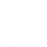 Mental Clarity & Focus